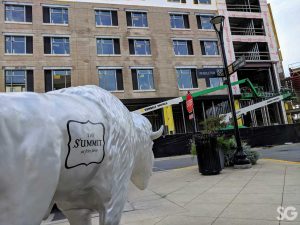 Hotel: silver buffalo with "the summit" in black writing with construction in the background