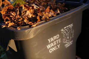 a trash bin full of leaves