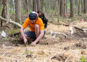 environmental: man in an orange shirt and hat digging in the ground